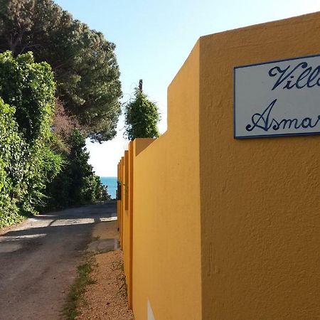 Villa Asmara Su Forti Zewnętrze zdjęcie